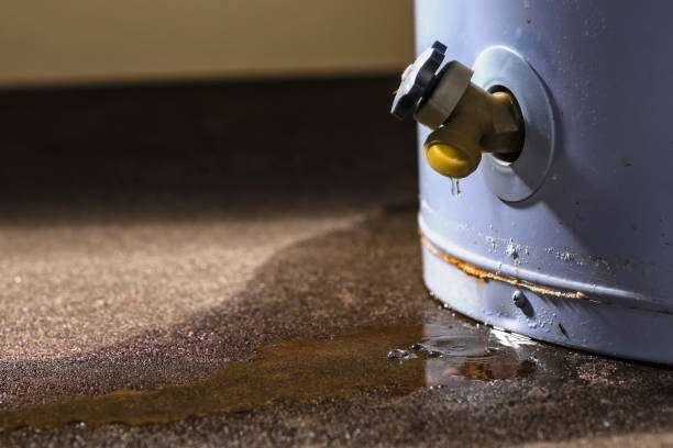 Best Professional water damage repair  in Silver Ridge, NJ
