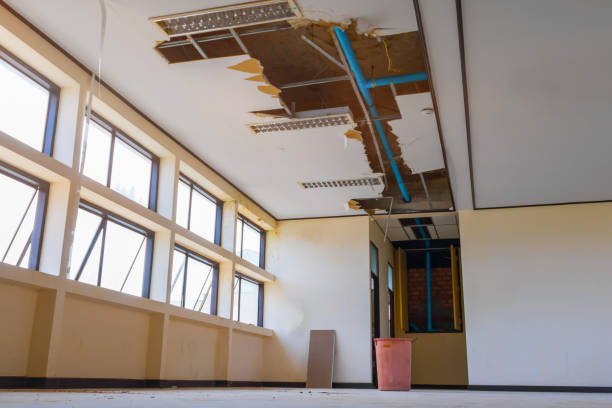 Best Water damage restoration near me  in Silver Ridge, NJ