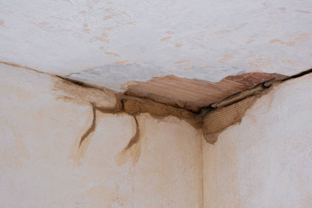 Best Ceiling water damage repair  in Silver Ridge, NJ