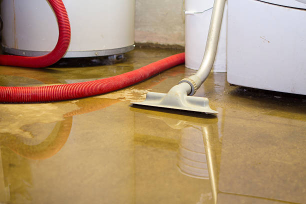 Best Fire Damage Restoration  in Silver Ridge, NJ