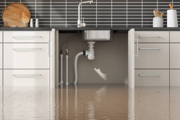 Best Water damage restoration near me  in Silver Ridge, NJ