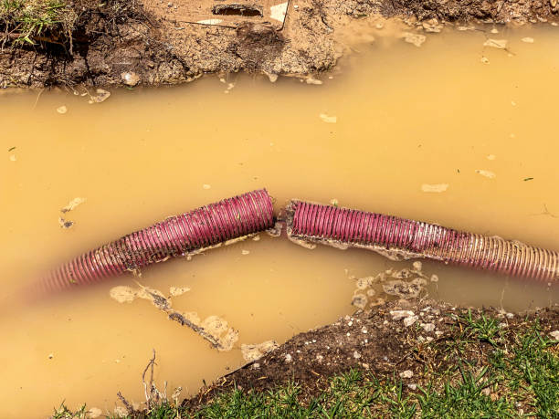 Reliable Silver Ridge, NJ Water damage restoration Solutions