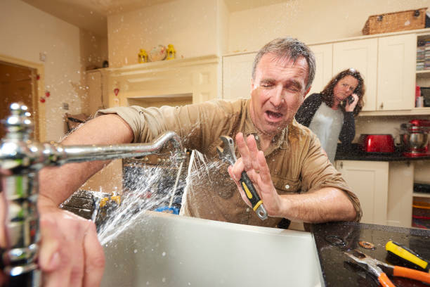 Best Water damage cleanup near me  in Silver Ridge, NJ